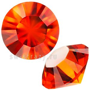 1028 PP 18 Hyacinth U